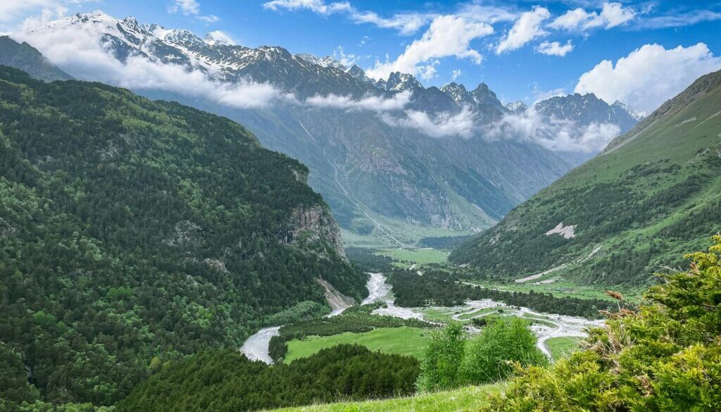 free-photo-of-paisatge-muntanyes-estiu-bosc