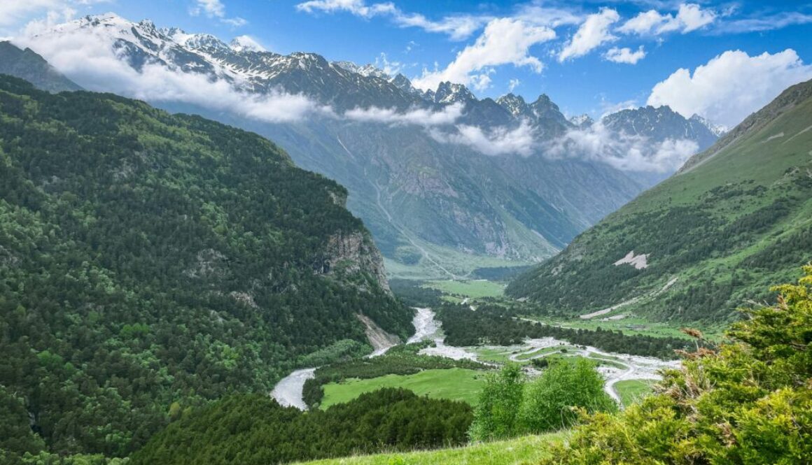 free-photo-of-paisatge-muntanyes-estiu-bosc