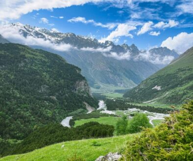free-photo-of-paisatge-muntanyes-estiu-bosc
