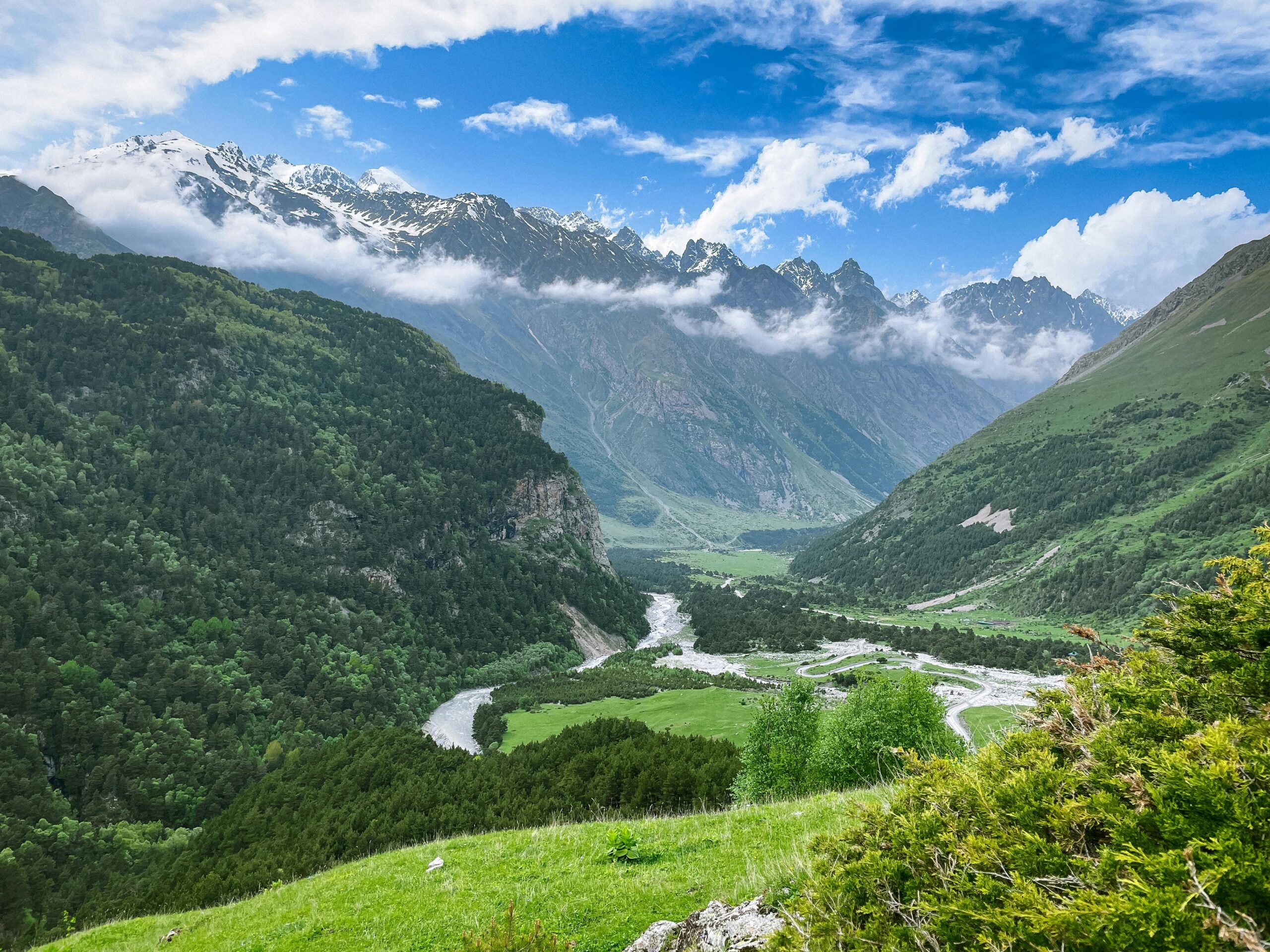 free-photo-of-paisatge-muntanyes-estiu-bosc